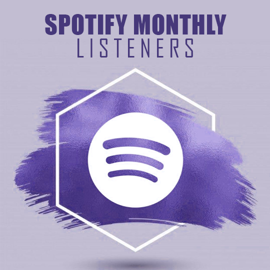Buy Spotify Monthly Listeners Promotion-Product Image04